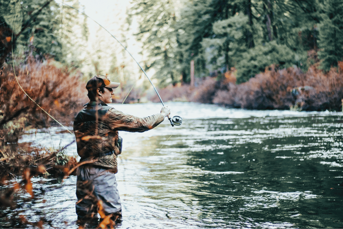 What Fly Fishing Beginners Need to be Succesful on the Water