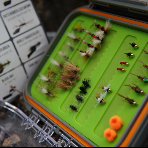 Why a Fly Fishing Starter Set Is Your Ticket to More Fish